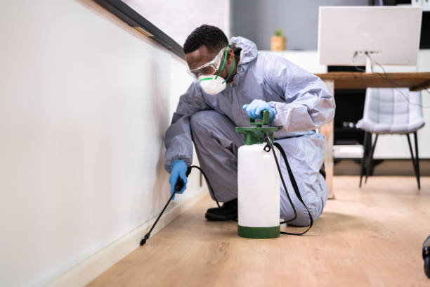 Professional Pest Control in Harlem Heights, FL